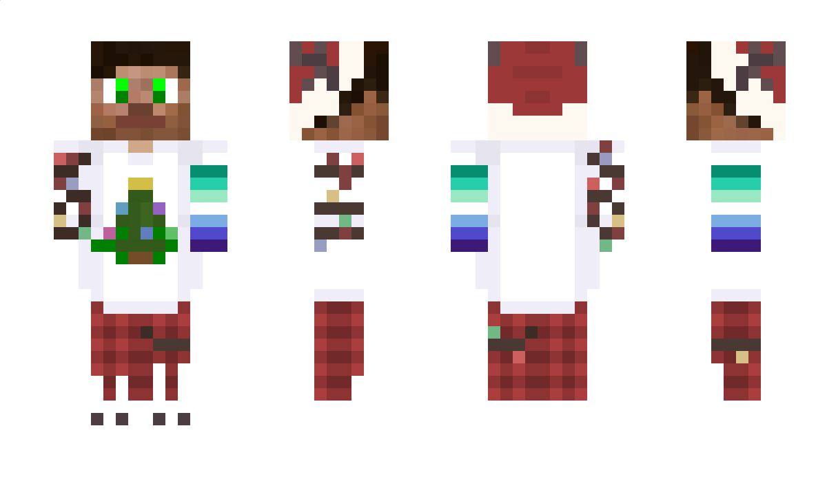 Bothim_TV Minecraft Skin