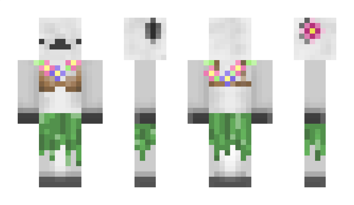 strayfe Minecraft Skin