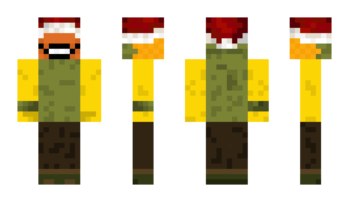 rnpa Minecraft Skin