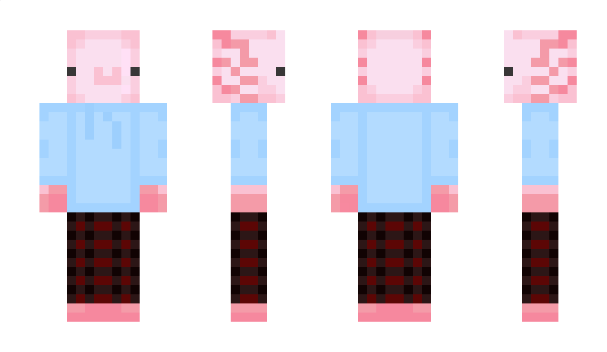 minekapi300 Minecraft Skin