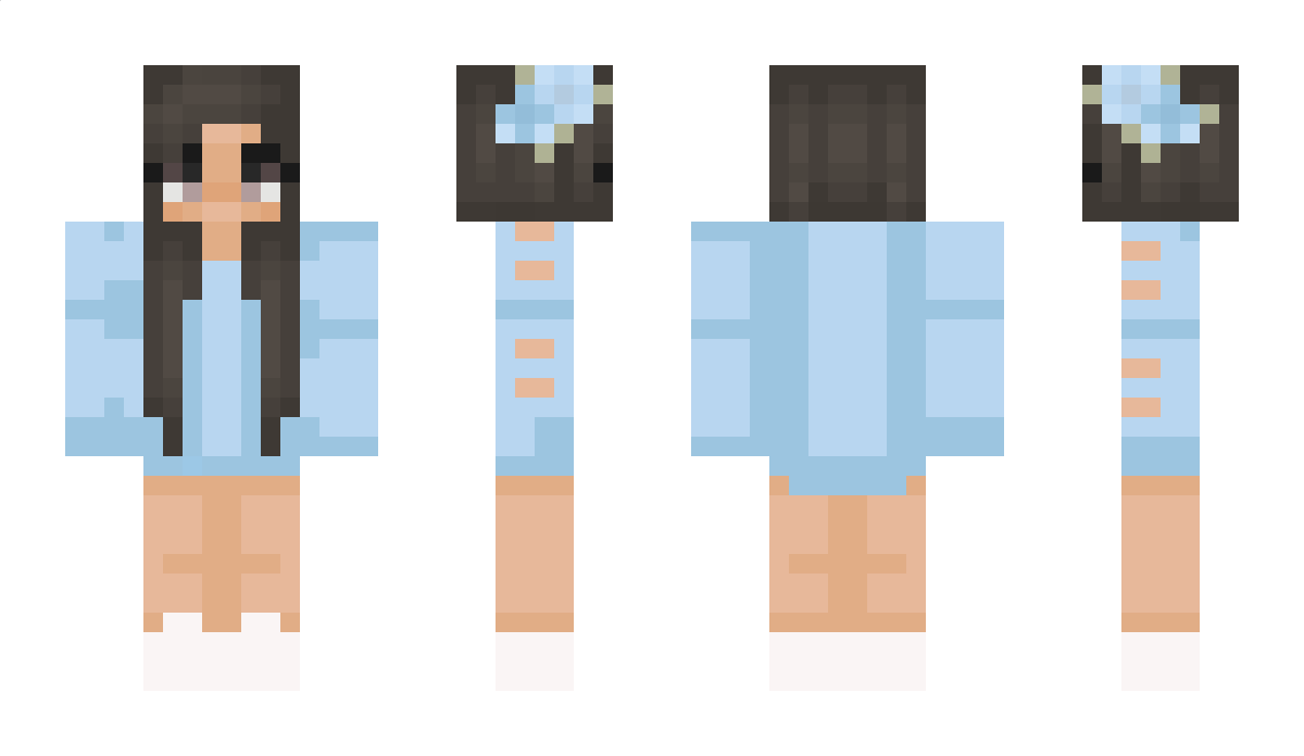 Peis Minecraft Skin