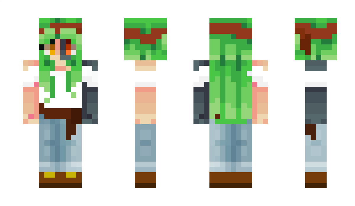 Pirate_bee Minecraft Skin