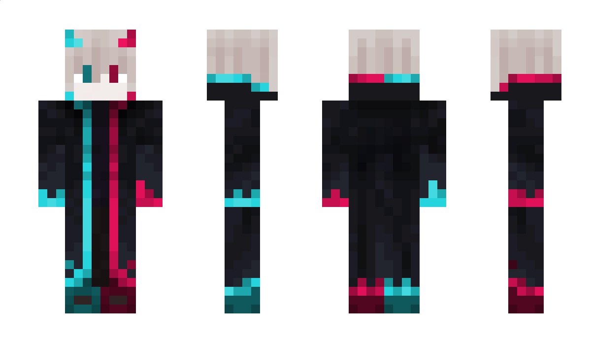 Picassinii Minecraft Skin