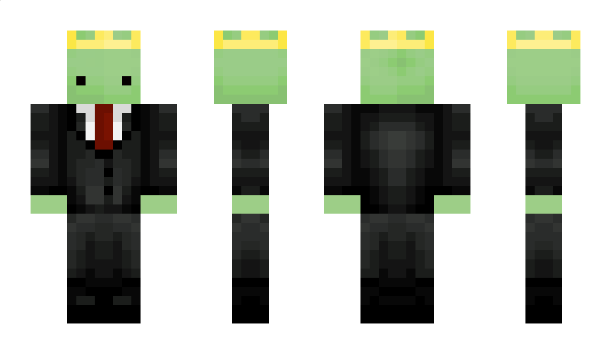 turtlegamer61 Minecraft Skin