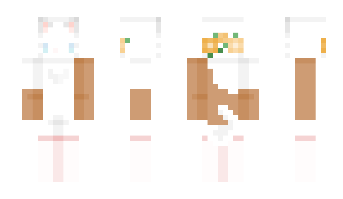 AwesomeCraft650 Minecraft Skin