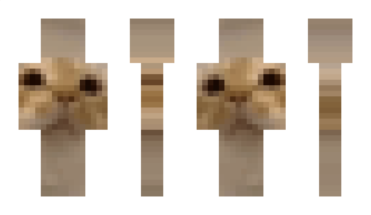 ginjuh Minecraft Skin