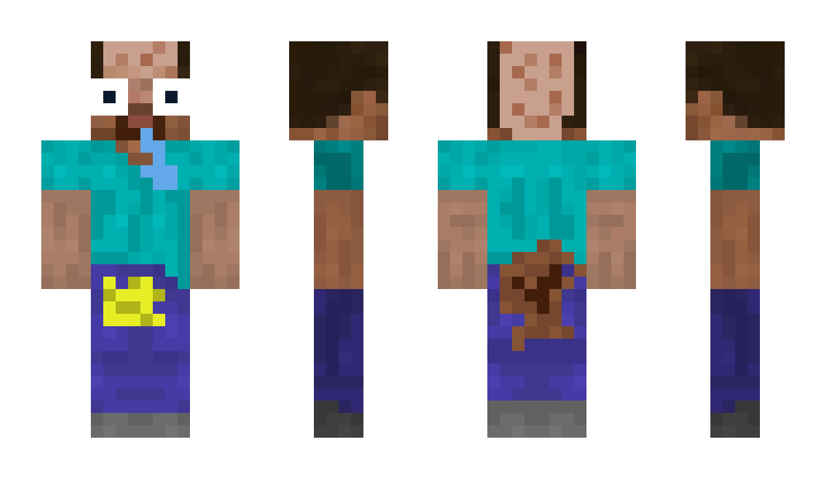 Shullin Minecraft Skin