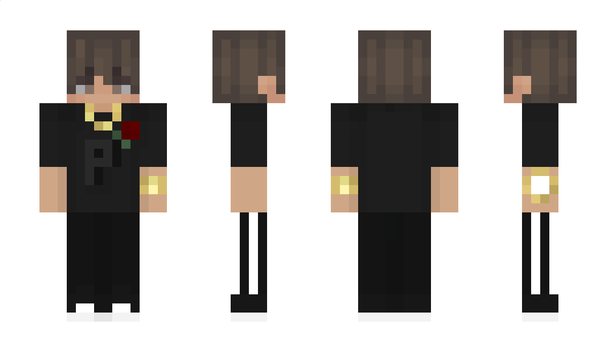 pohke Minecraft Skin