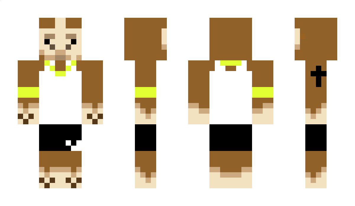 Llama565656 Minecraft Skin