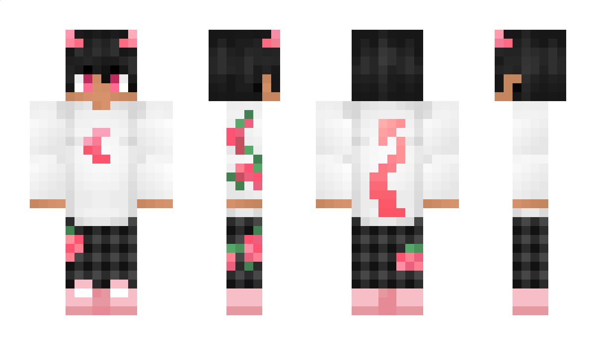 Hisserjkitty04 Minecraft Skin