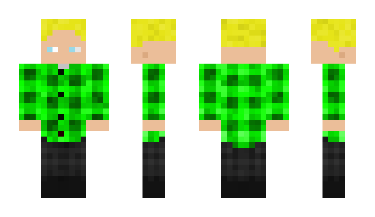 LioLittleLion Minecraft Skin