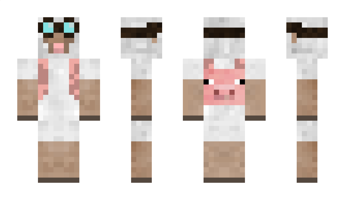 WoolDye Minecraft Skin