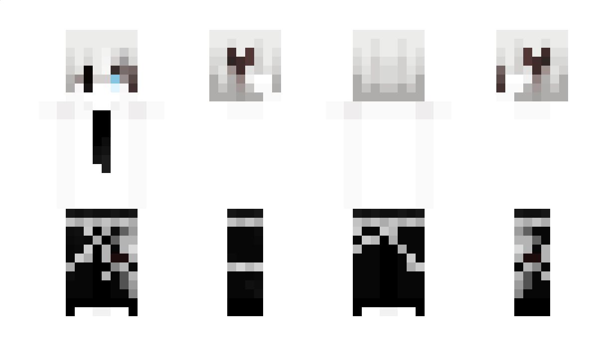 DS105 Minecraft Skin