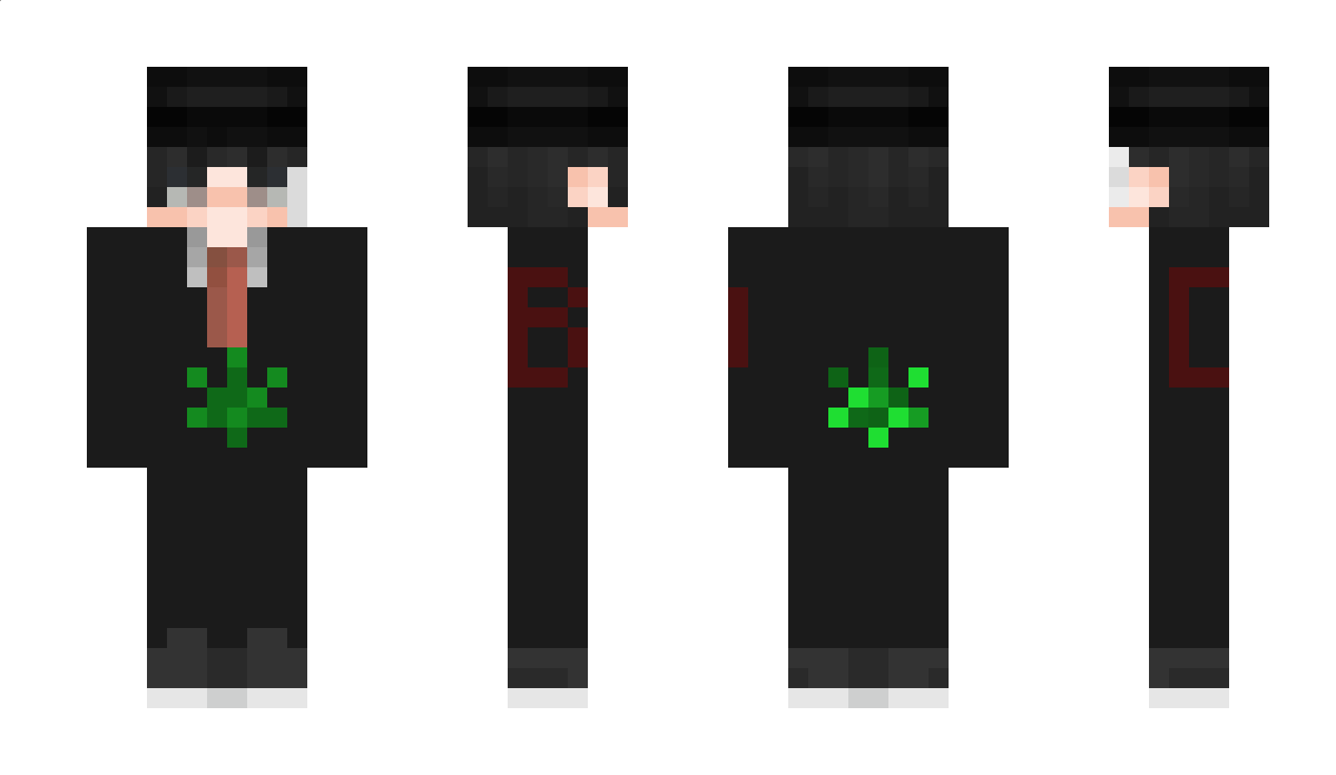 petofi Minecraft Skin