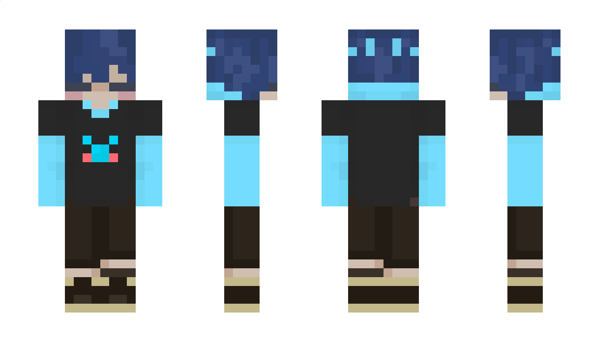 endersaltz Minecraft Skin