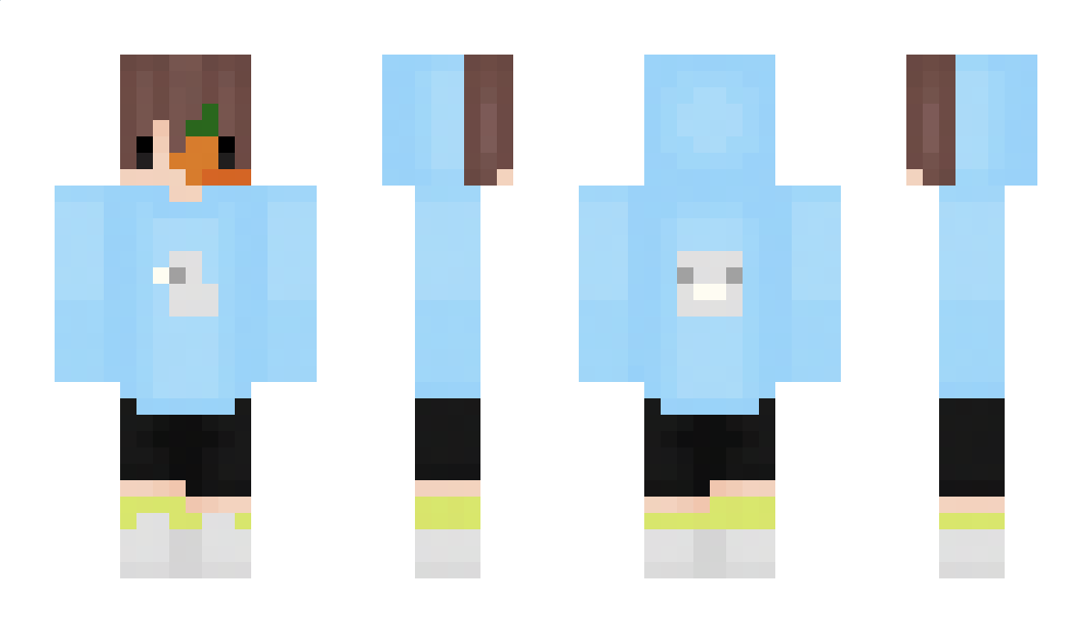 Wubb4Duck Minecraft Skin