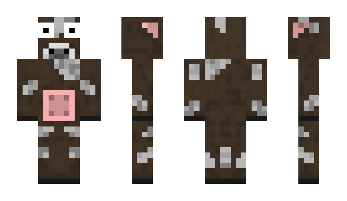 sdrr Minecraft Skin