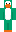 Minecraft Skin