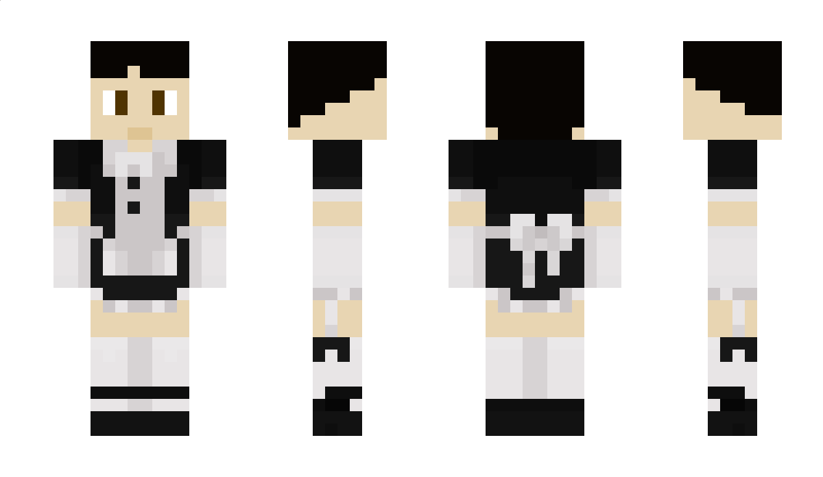 newchip Minecraft Skin