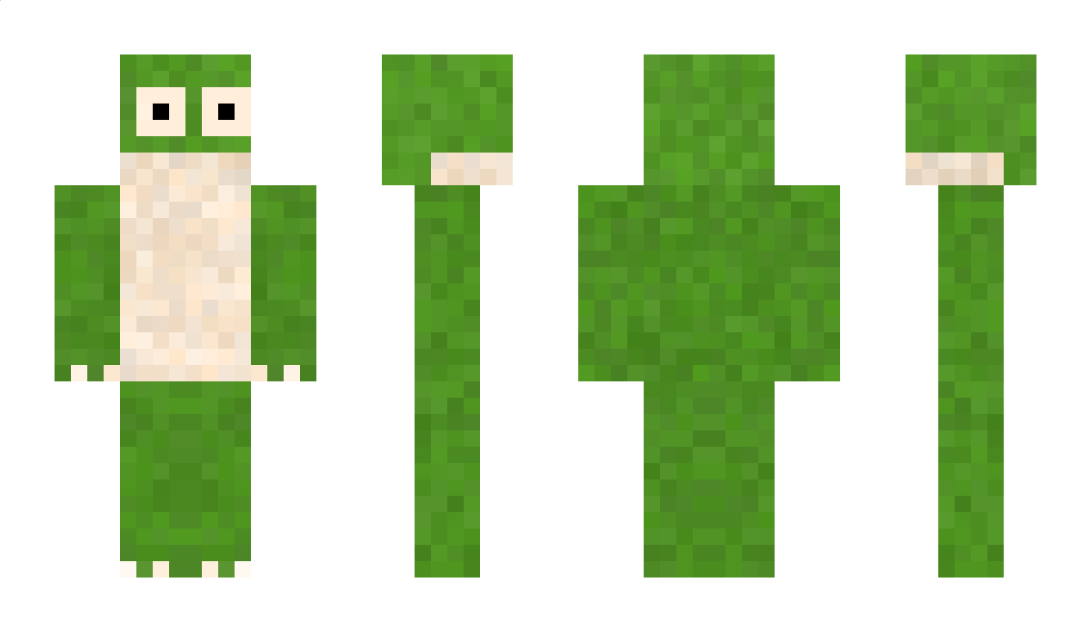 FurryTheFrog Minecraft Skin