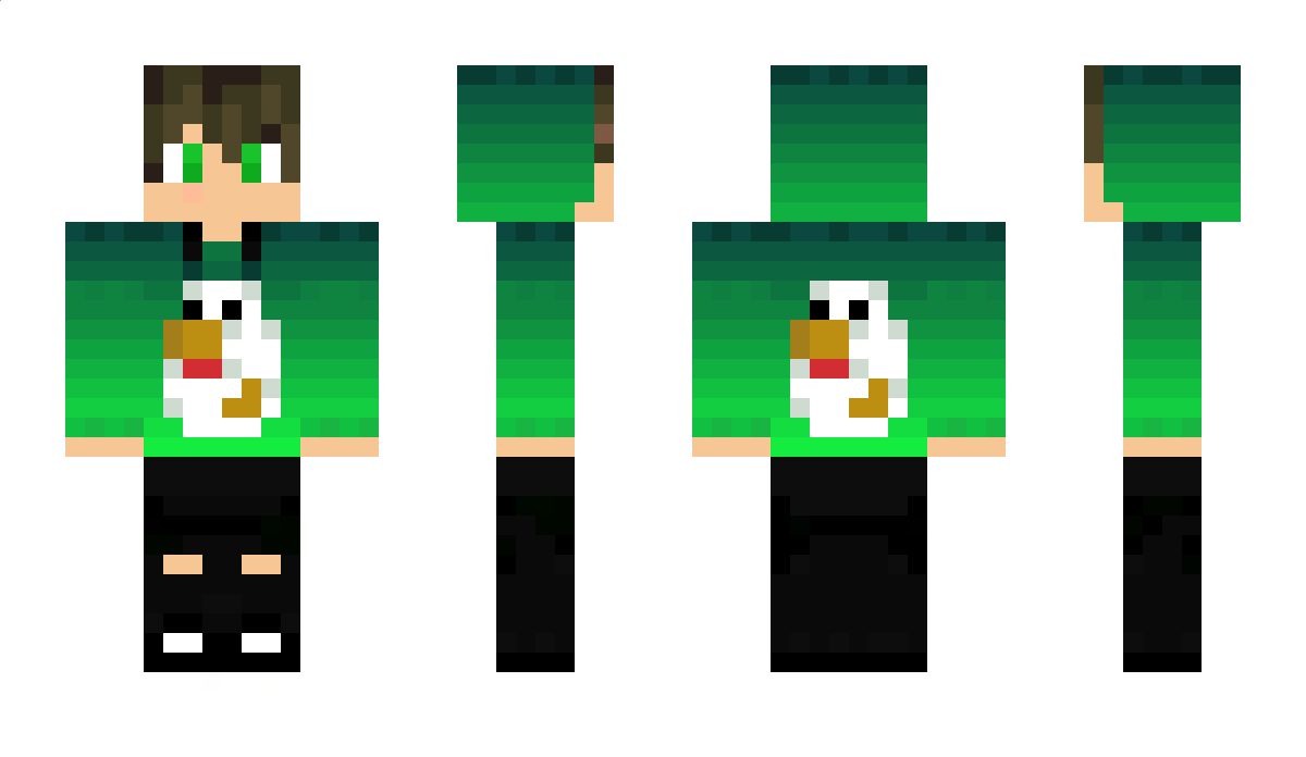 Pawelek_pl Minecraft Skin