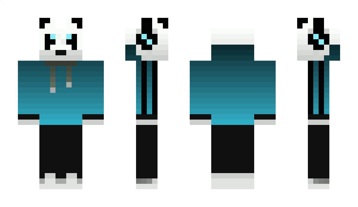 secret11 Minecraft Skin