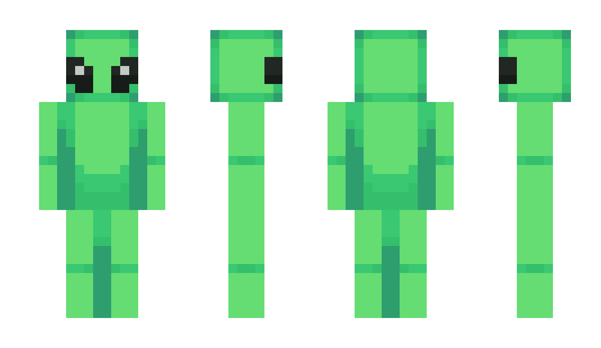 B1MBL4M Minecraft Skin