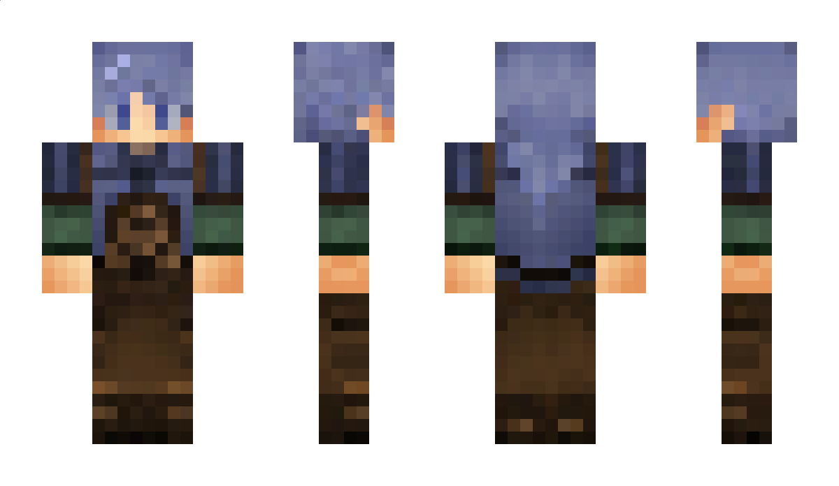 NiceWizzard Minecraft Skin