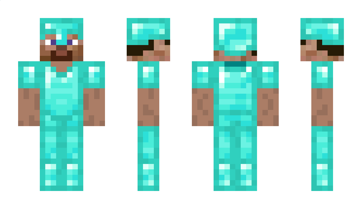 TheDiamondHawk Minecraft Skin