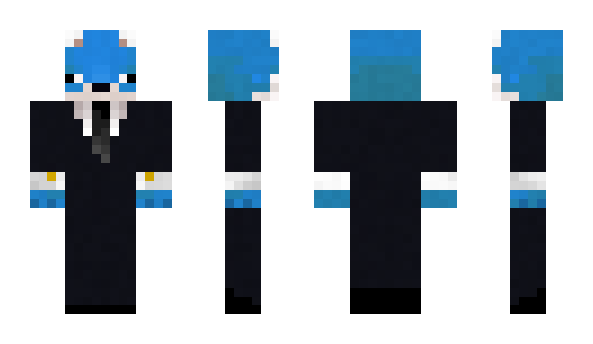 BluuFox Minecraft Skin