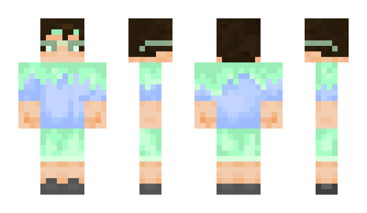 layrix228 Minecraft Skin