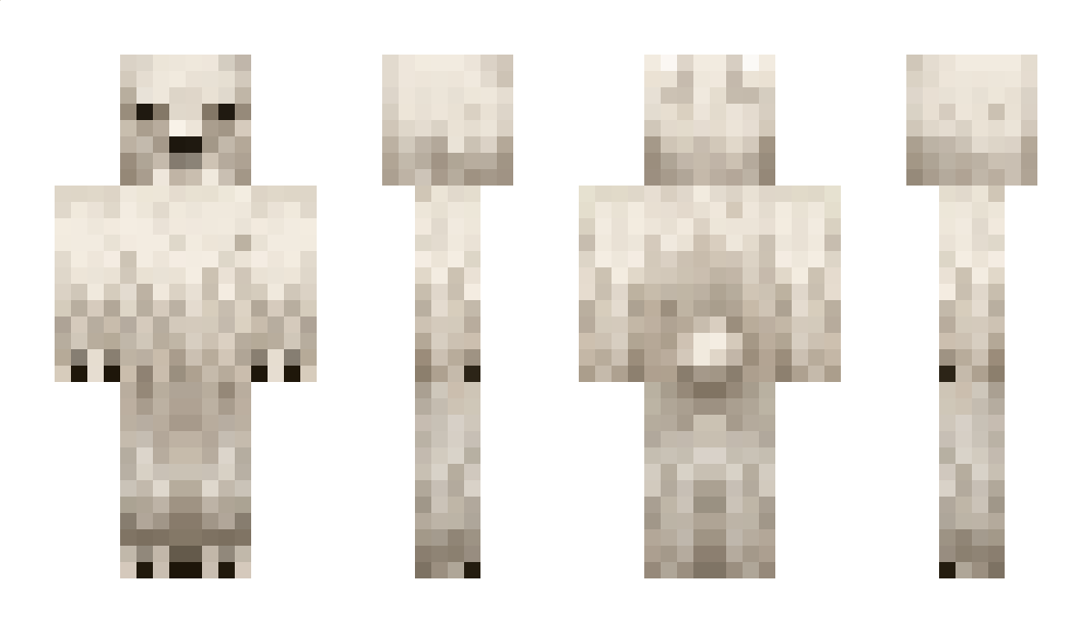 Dimp Minecraft Skin