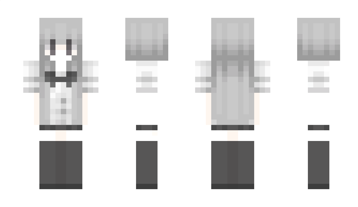 Airline Minecraft Skin