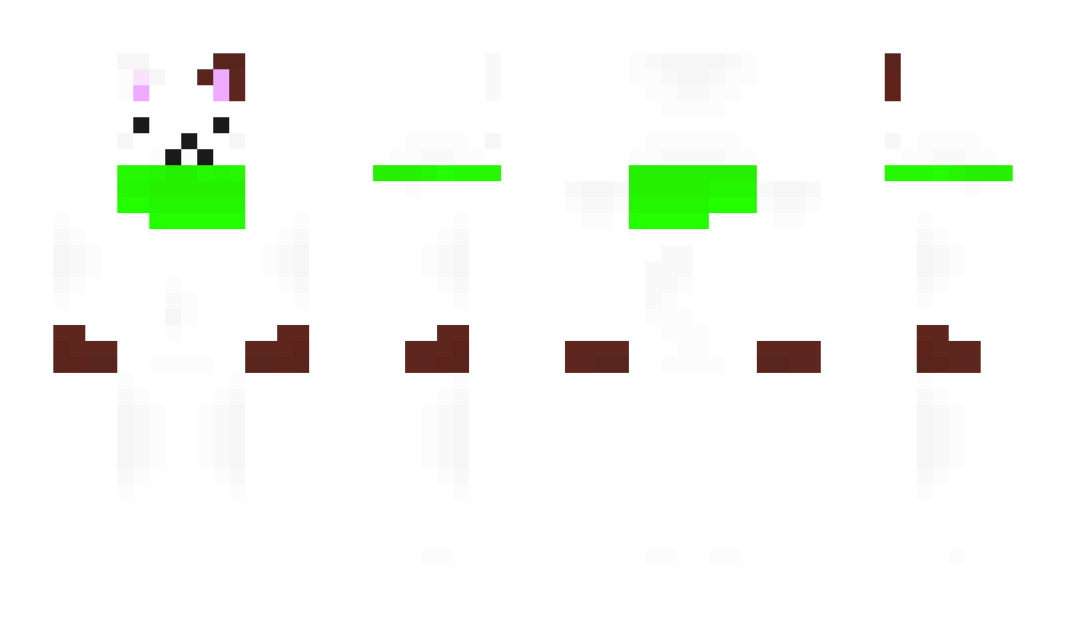 BragCat Minecraft Skin