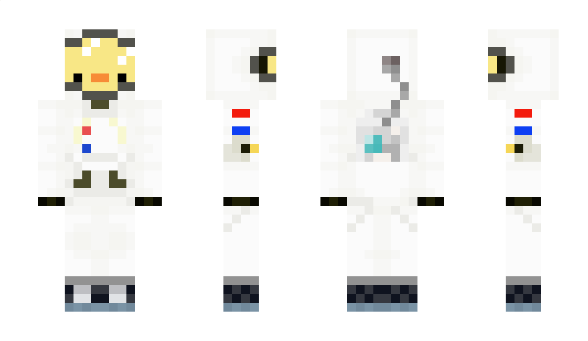 duckstronaut_08 Minecraft Skin