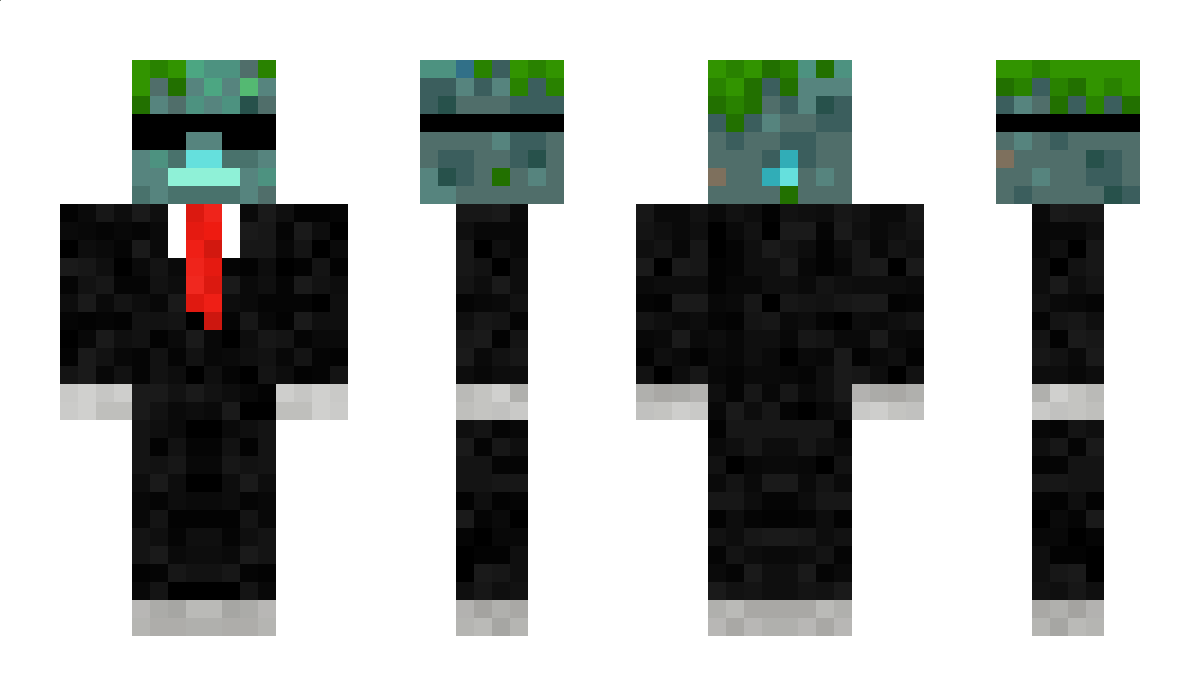 CRDD2295 Minecraft Skin