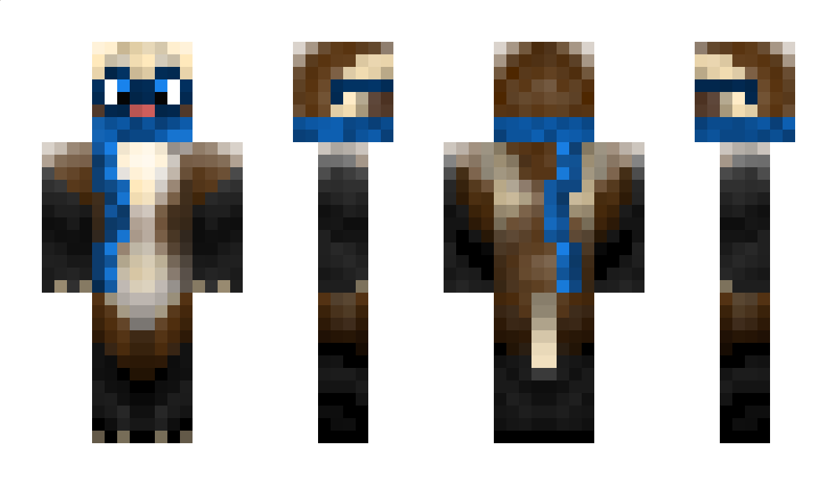 SocksTheFerret Minecraft Skin