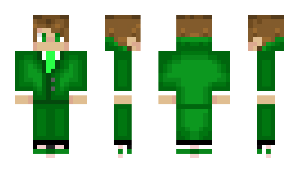 Sarttola Minecraft Skin