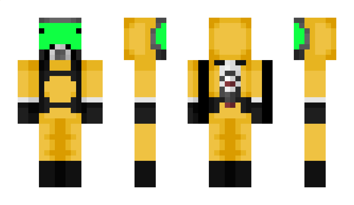 Mr_DinnerBone Minecraft Skin