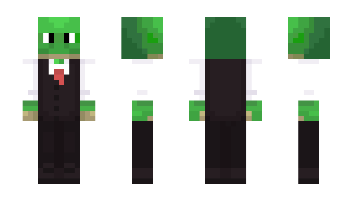 KindTurtle3292 Minecraft Skin