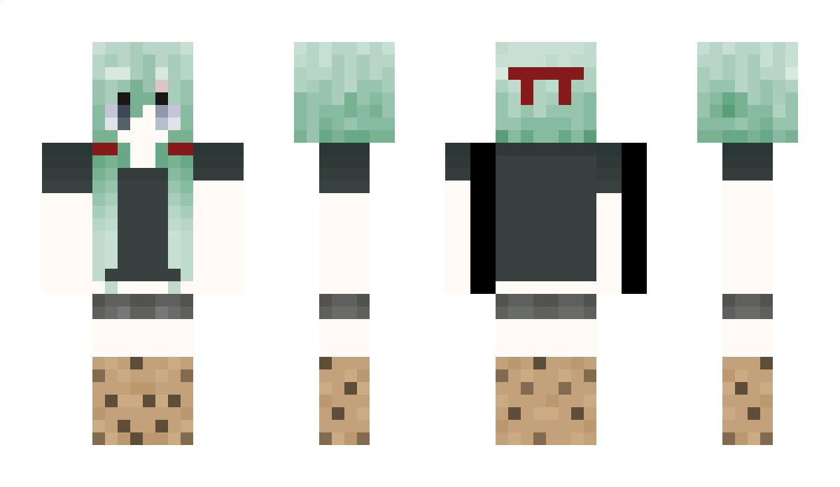 Disvs Minecraft Skin