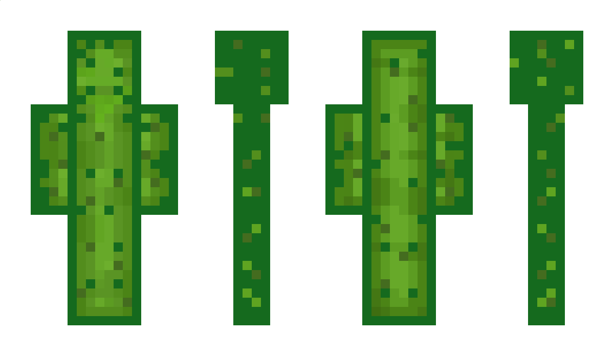 PickleSandwichs Minecraft Skin