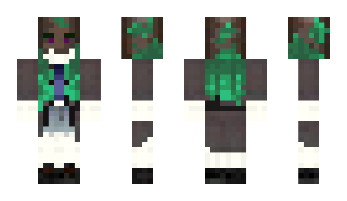 diamondwolf200 Minecraft Skin