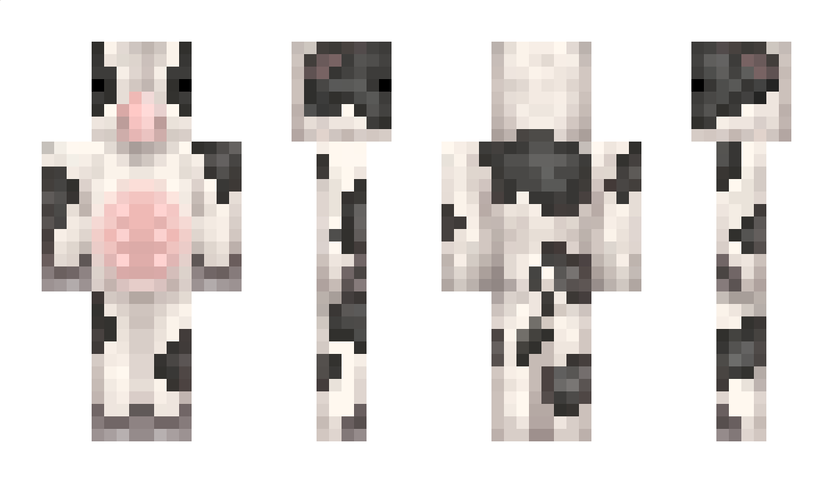 pvtamae Minecraft Skin