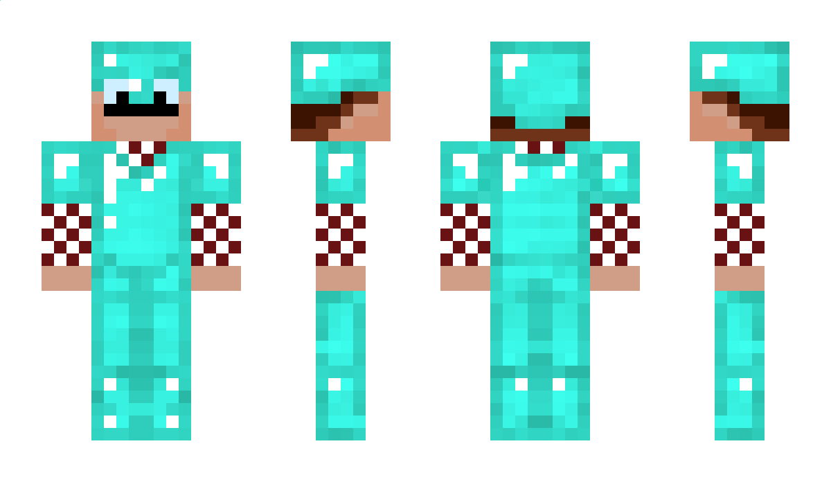 Bibble_lechat Minecraft Skin