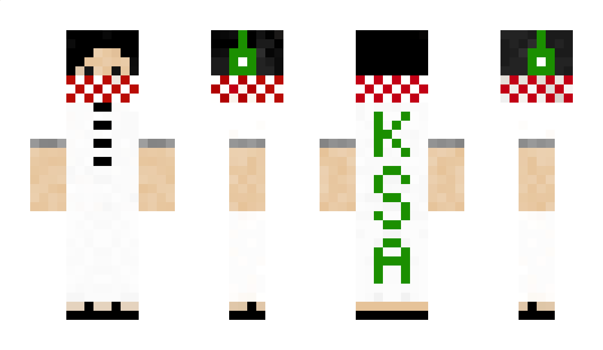 WDI Minecraft Skin