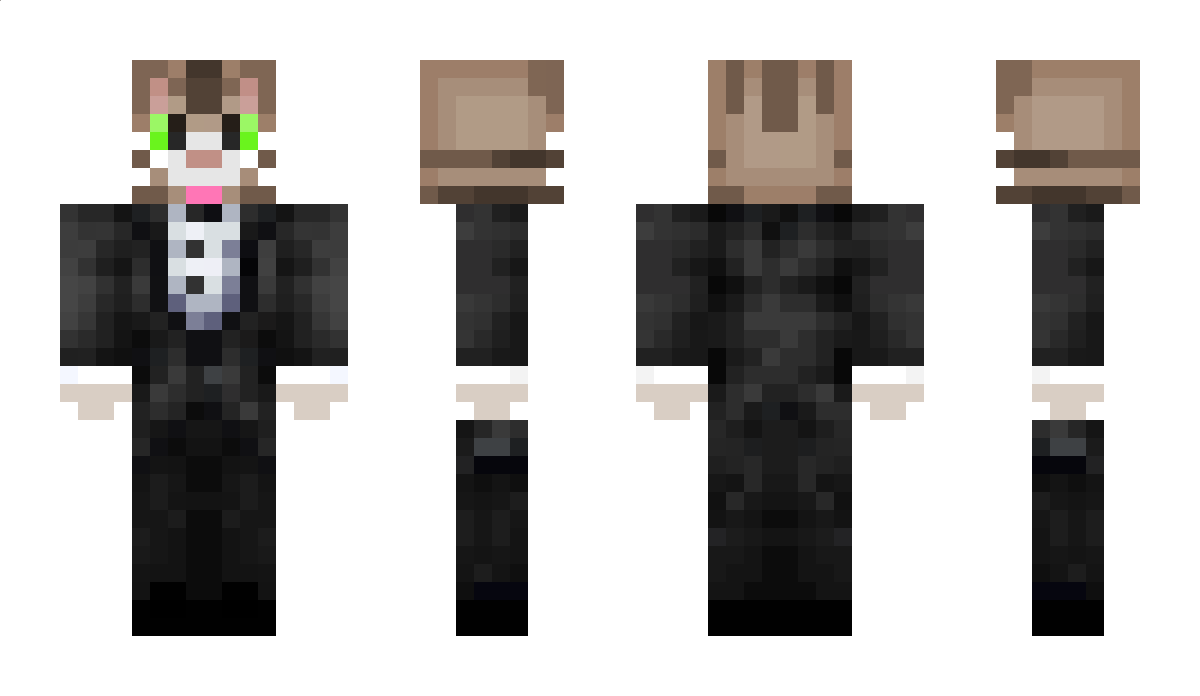 Mrmeowalot Minecraft Skin