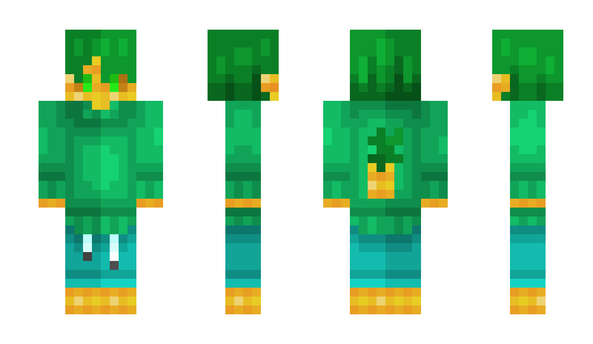 Kayttajanimi Minecraft Skin