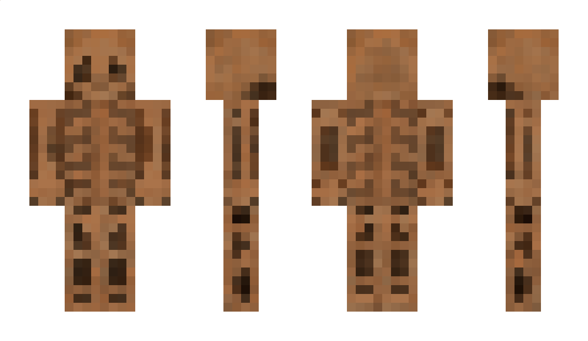 Derixez Minecraft Skin