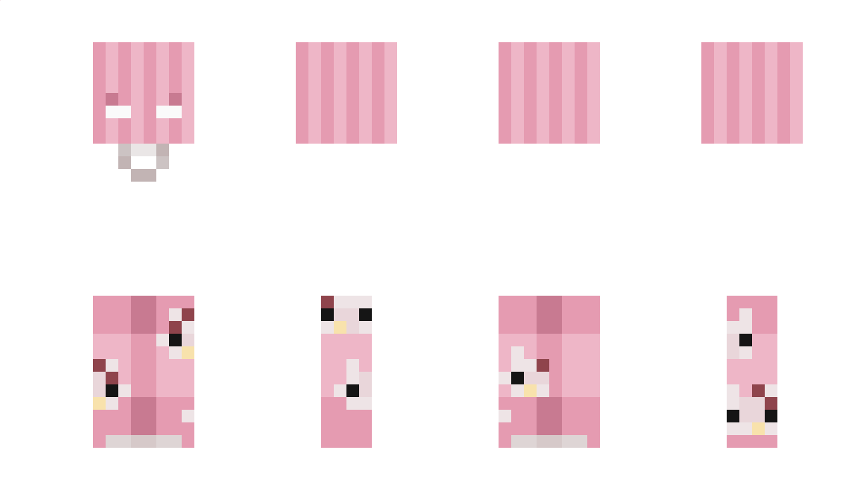 Szewaa_ Minecraft Skin